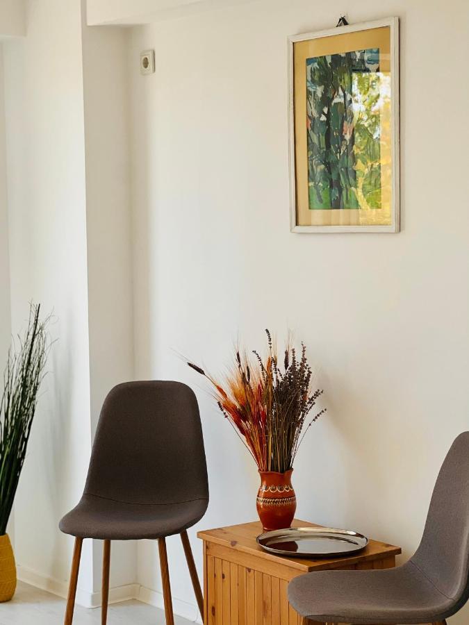 The Airport Loft Apartman Otopeni Kültér fotó