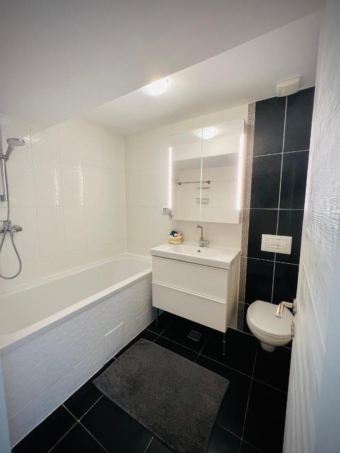The Airport Loft Apartman Otopeni Kültér fotó